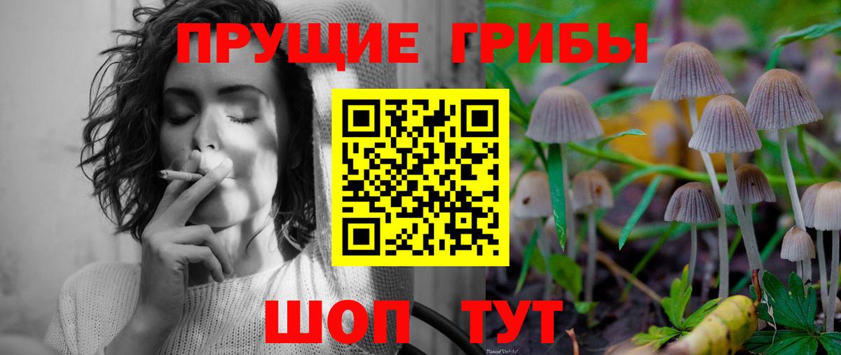 Галлюциногенные грибы прущие грибы  Псилоцибиновые грибы ЛСД  Вход с VPN  Кызыл 