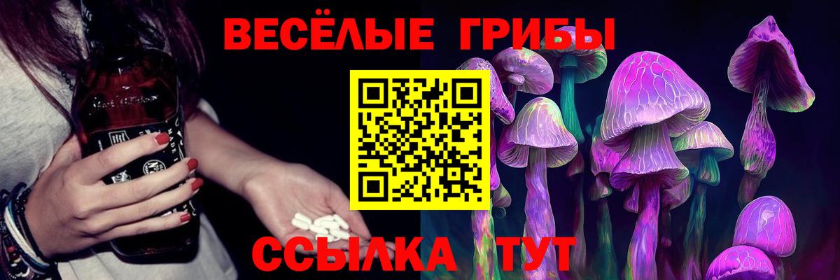 Галлюциногенные грибы GOLDEN TEACHER Кызыл